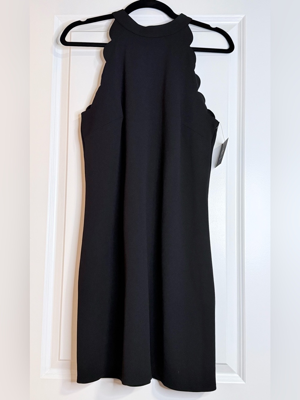 🆕 NWT Fortune + Ivy Marina Scallop Halter Neck Little Black Cocktail Dress - L - Picture 5 of 9